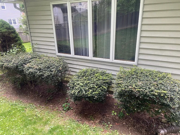 bushes outside of the addition, low maintenance plants throughout that tenants will need to maintain