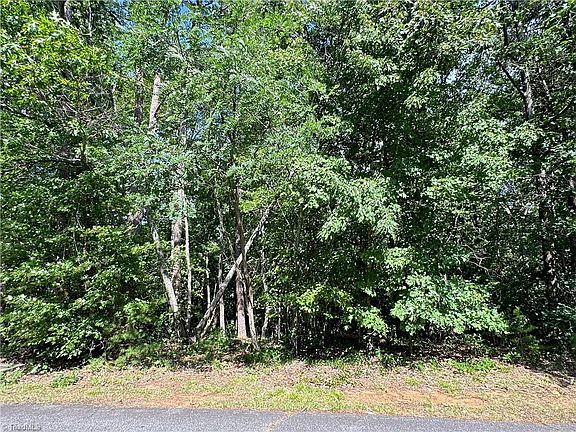 4th image of 0 John Byrd Rd