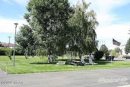 CommonBackYard