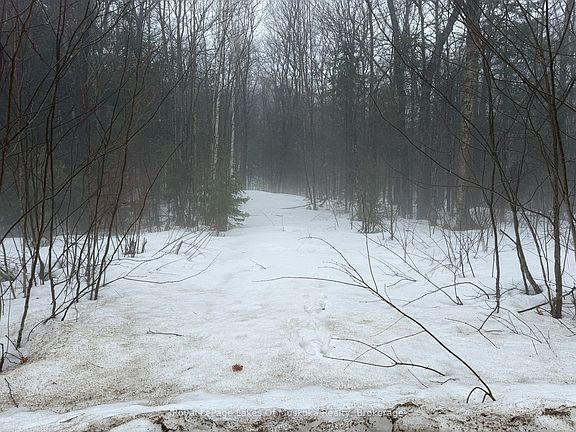 3rd image of 0 Stoney Rd