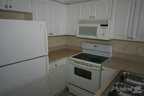 5th image of 2419 Morado St APT 306