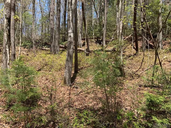 Lot 129 E Christy Trail, Sapphire, NC 28774