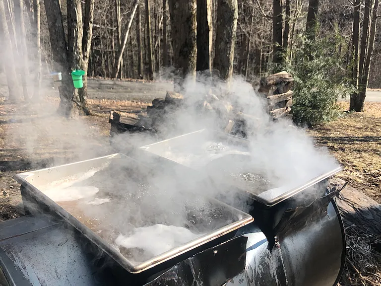 Harvey Mountain Rd — Photo 42