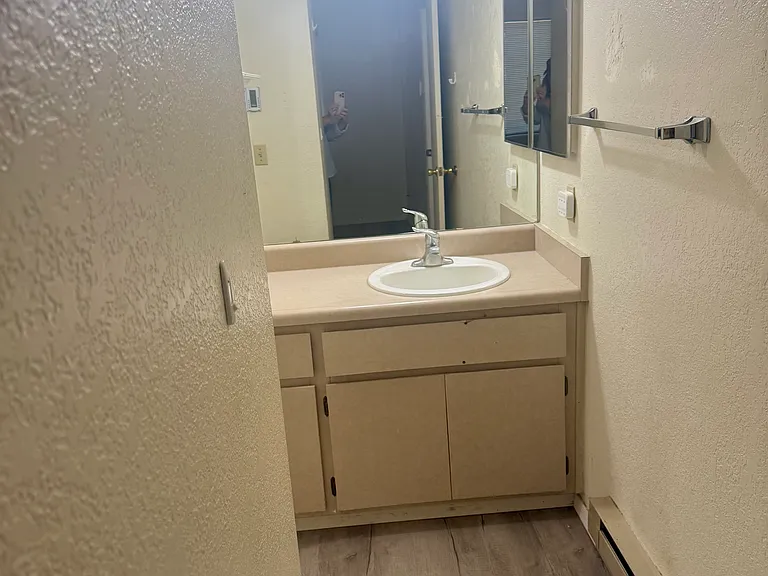 2700 S White Mountain Rd #423 — Photo 7