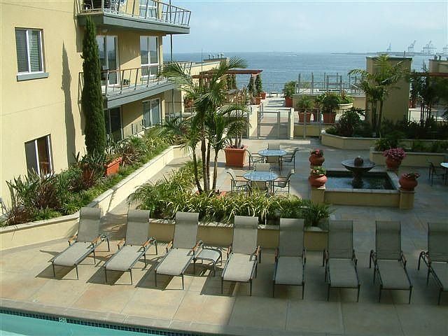 Overview of Patio Area