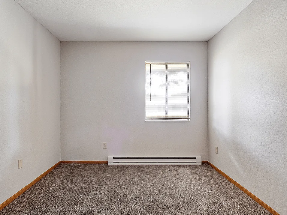 Natural Light Fills the Space