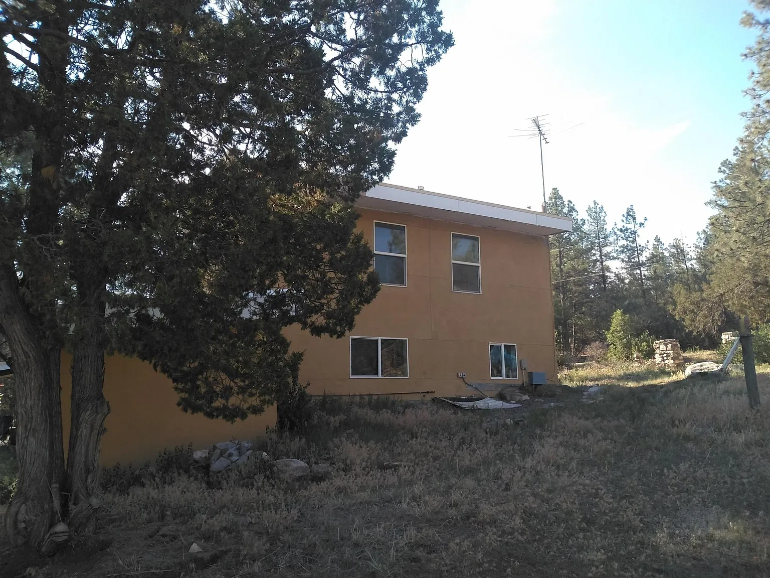 6 bed, 1.5 bath, 3000 sqft, $2,800 — Photo 3