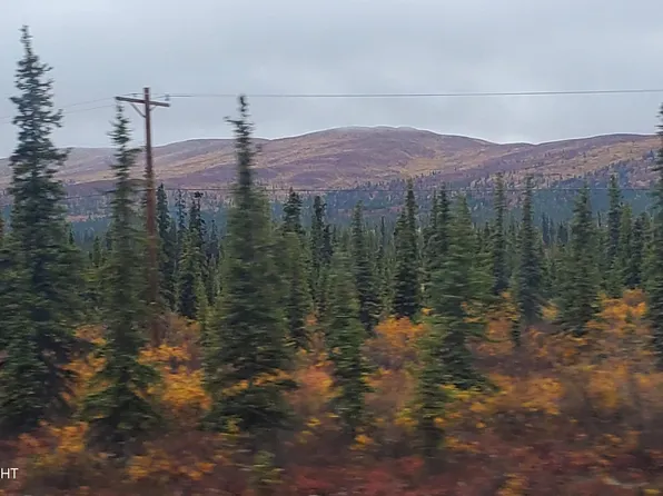 Mi 162 Glenn Hwy, Glennallen, AK 99588