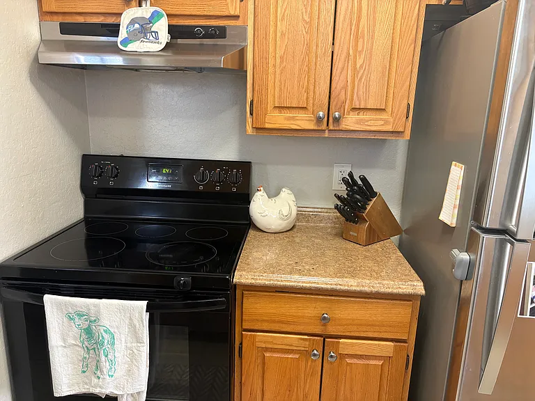 Radiant heated stove