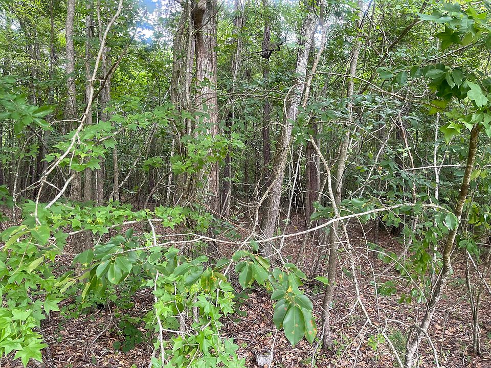 1st image of 1402 Tanyard Creek Drive