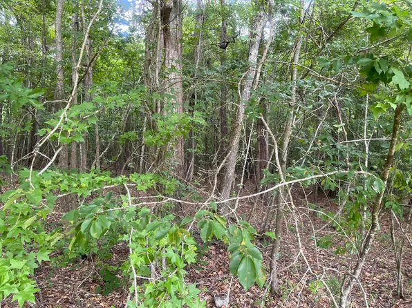 1402 TANYARD CREEK Drive, Thomson, GA 30824