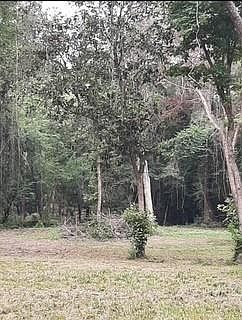 5th image of 12834 Mustang Rd