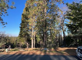 1238 Canyon Ridge Ct, Murphys, CA 95247