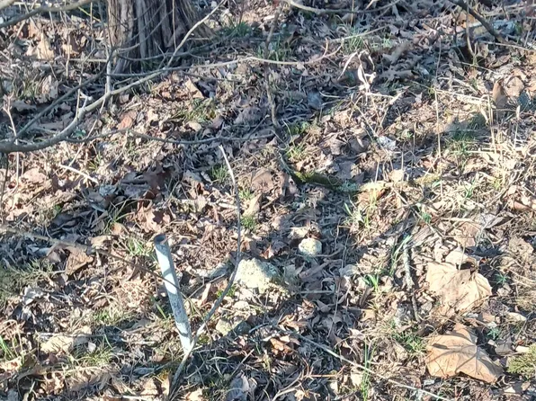 #37,38,39 000 Meadow Lane, Theodosia, MO 65761