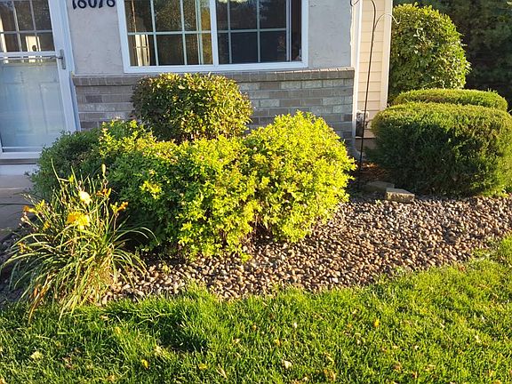 outside plants