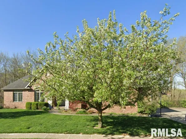 11 Riverwood Dr, Rochester, IL 62563