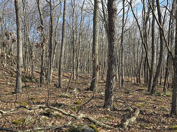 2nd image of Cowaw Rd