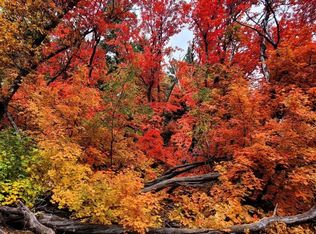 143 Big Dipper, Cloudcroft, NM 88317