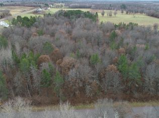 PARCEL Ice House Bridge Rd #C, Webster, WI 54893