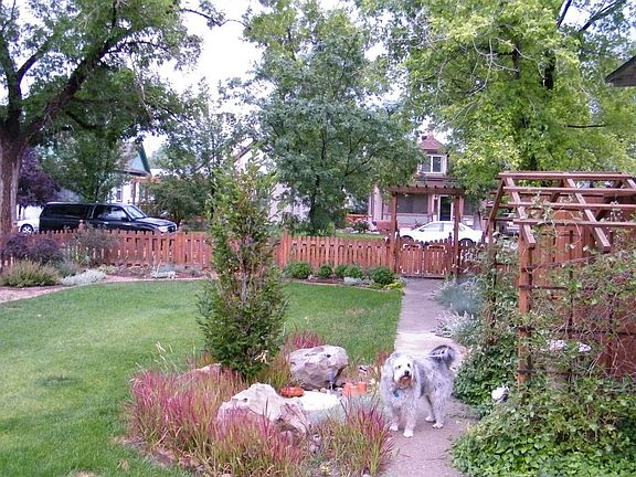 Yard viewed from house