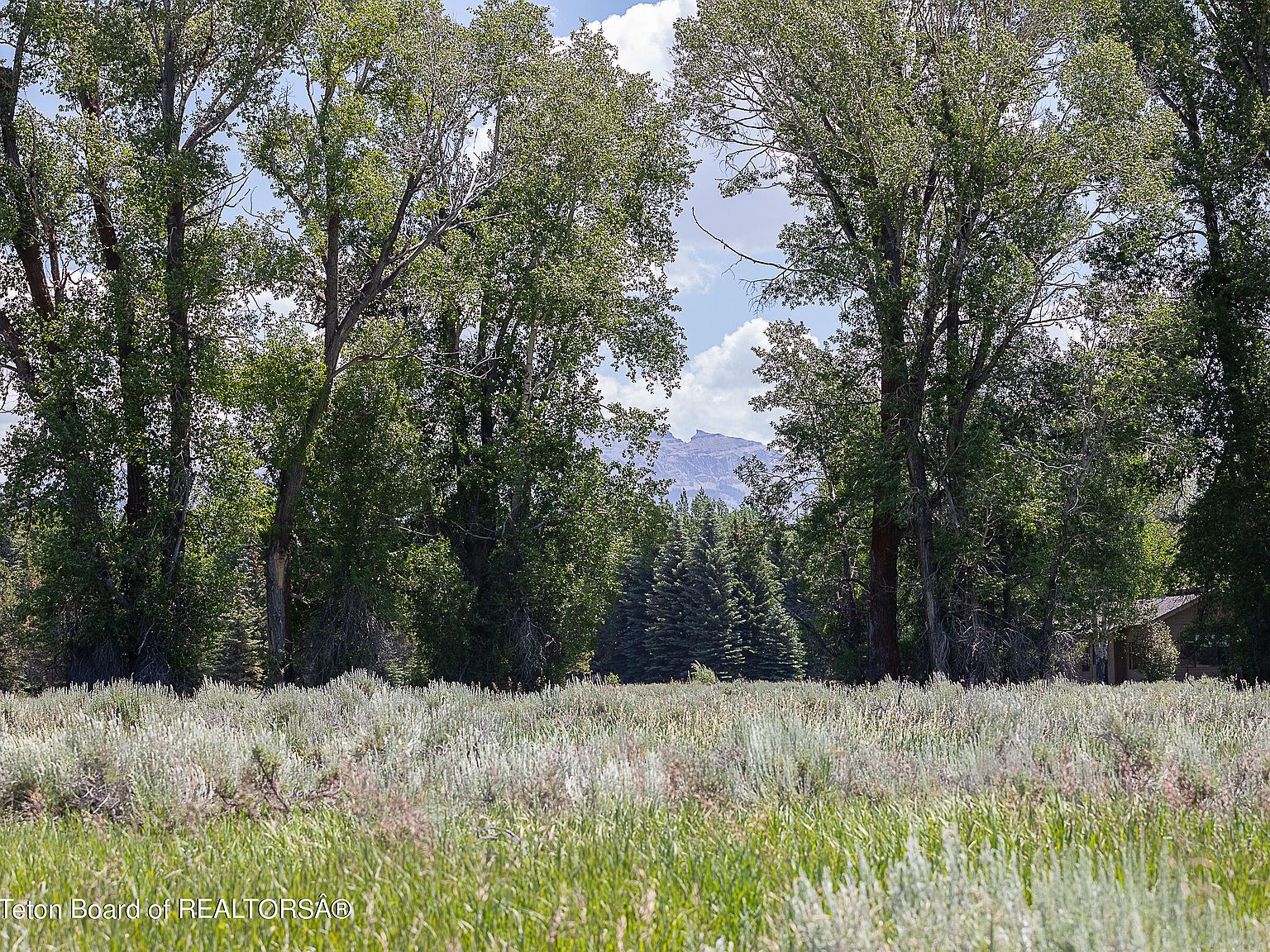 50 Dr, Jackson, WY 83001 MLS 231560 Zillow