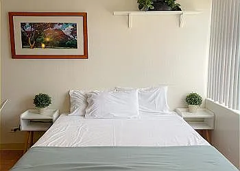 Studio, 259 sqft, $1,350 — Photo 2