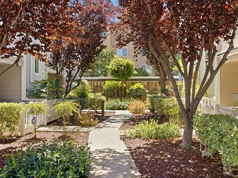 2414 Falk Ct — Photo 3