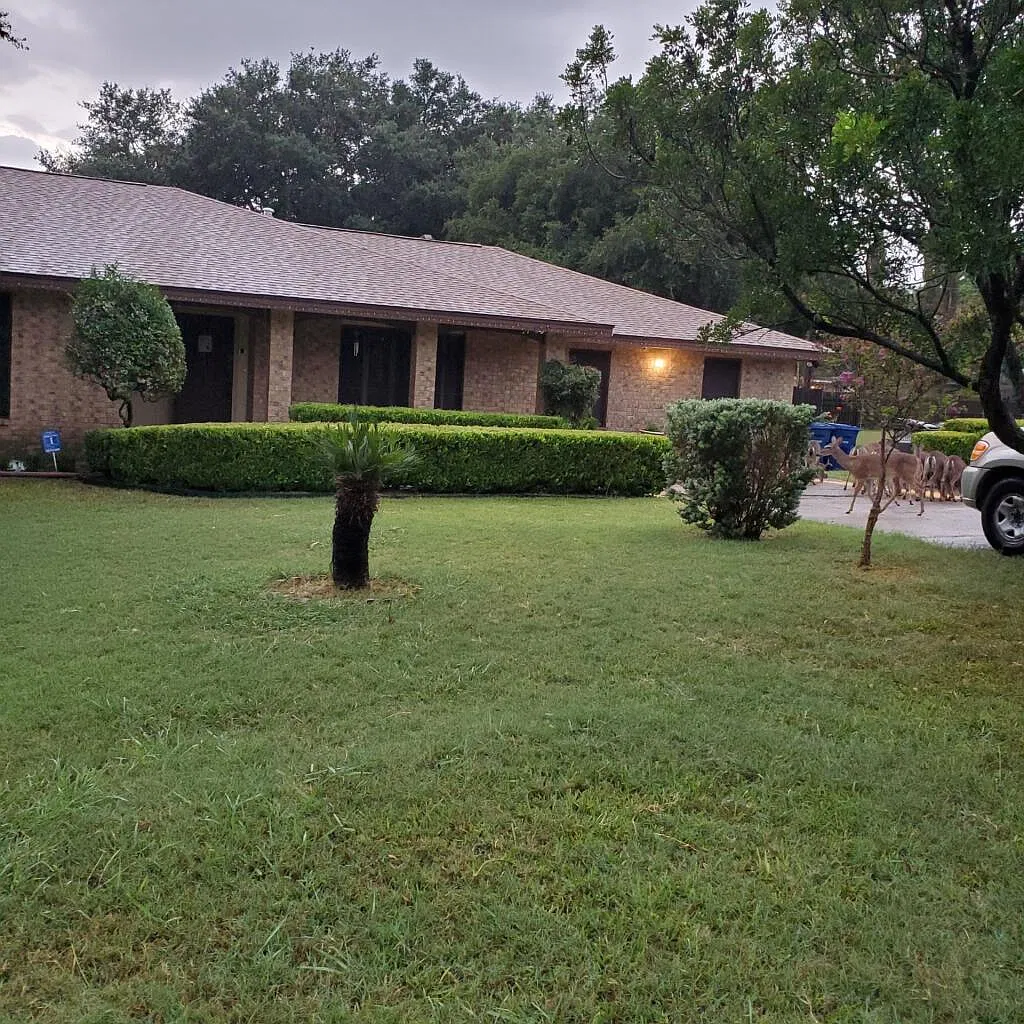 1 bed, 750 sqft, $1,300 — Photo 1
