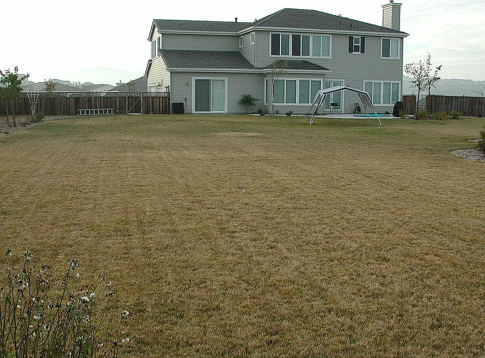 Lark Hills Circa 2001