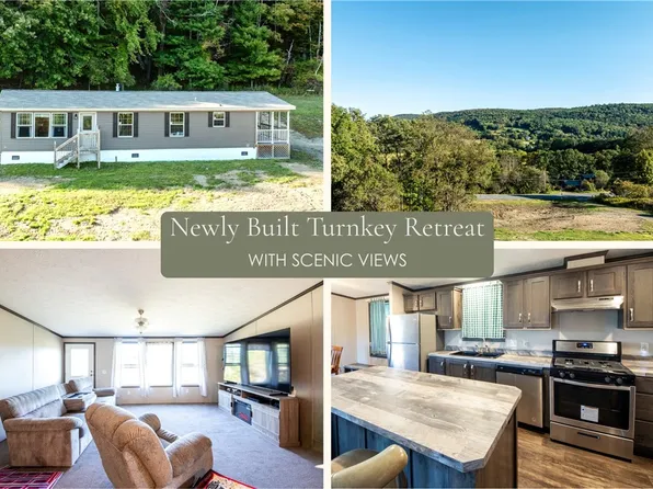 7545 Charlotte Creek Rd, Davenport, NY 13750