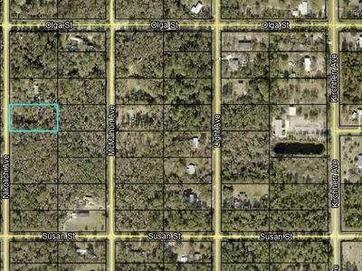 10130 Nikolich Ave, Hastings, FL, 32145