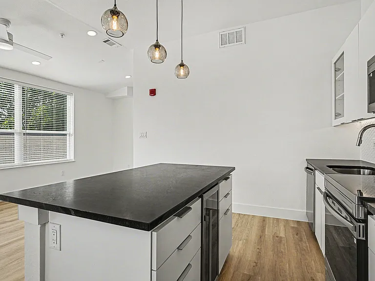2217 N Fitzhugh Ave #301 — Photo 15