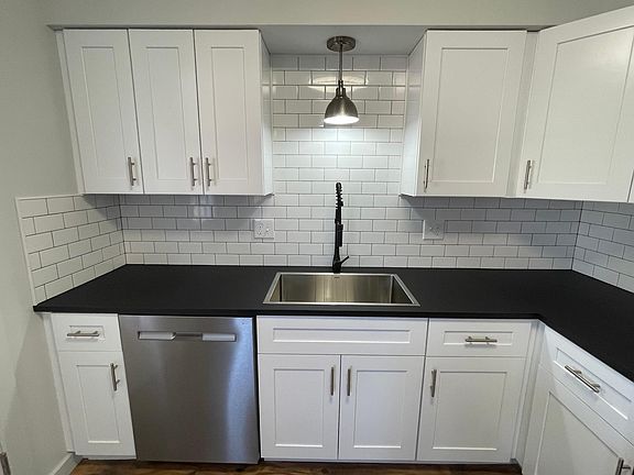 Stainless Sink and Dishwasher