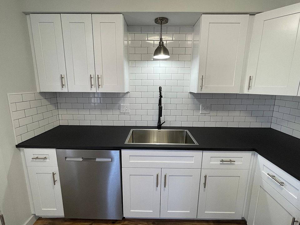 Stainless Sink and Dishwasher