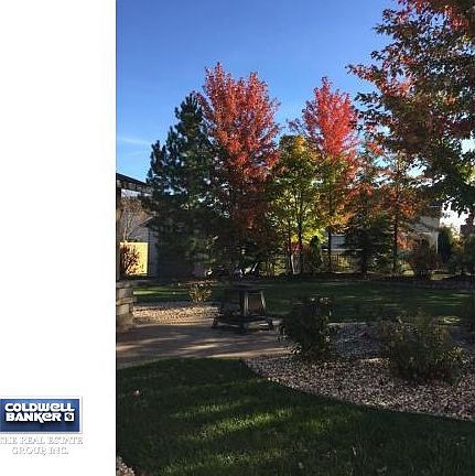 INCREDIBLY LANDSCAPED YARD