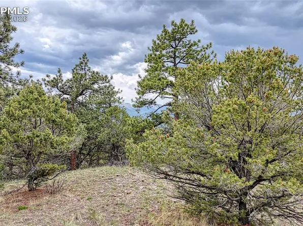 44 Honeysuckle Ter, Westcliffe, CO 81252