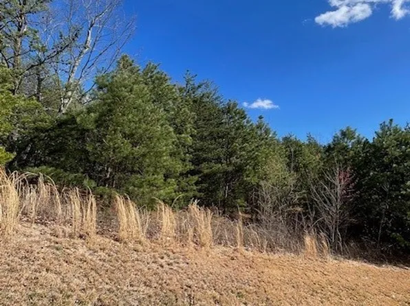 0 Big Sky Road, Ferguson, NC 28624