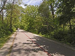 5th image of 5624 Carvel Ave