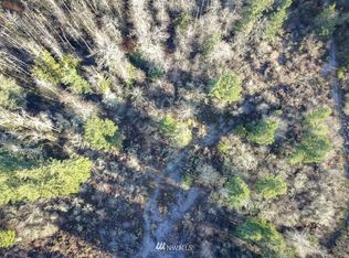 34915 34th Ave S, Roy, WA 98580