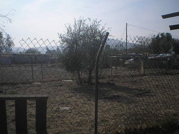 PART OF BACKYARD