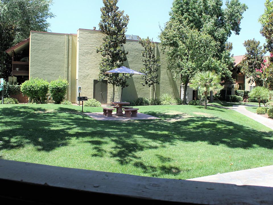 Patio View