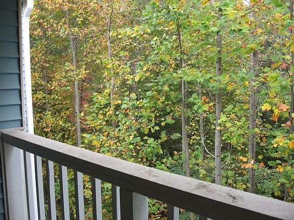 View from covered deck.
