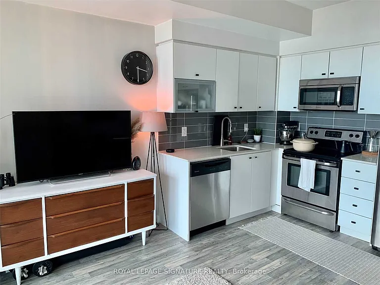 150 E Liberty St #1308 — Photo 10
