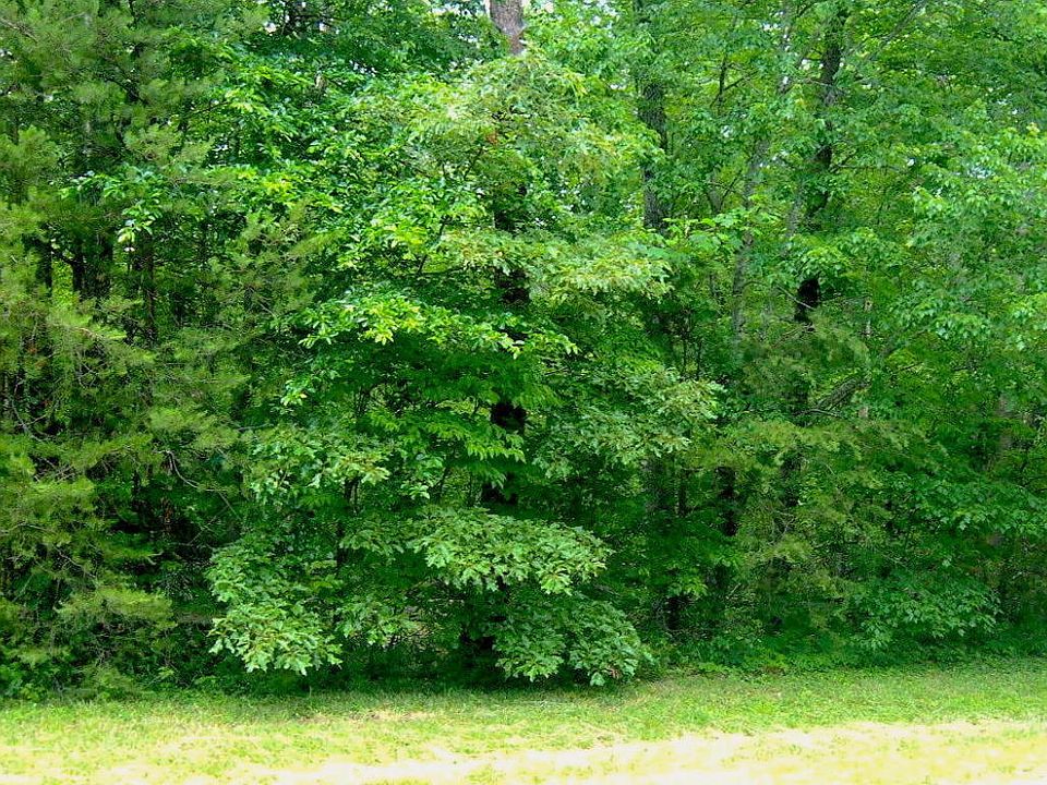 1st image of Cowpens Dr