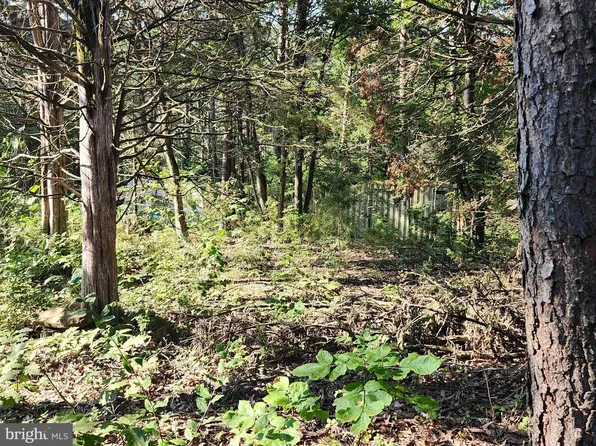 79 Mystic Mountain Blvd, Delray, WV 26714