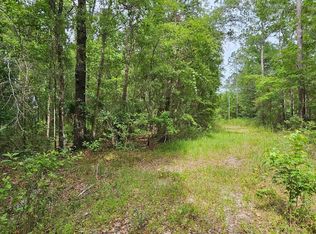 4515 SE 152nd St #1, Hawthorne, FL 32640