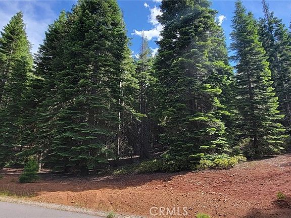 2nd image of 233 Snowy Peak Way #19