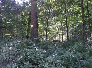 9 County Line Rd, Three Rivers, MI 49093