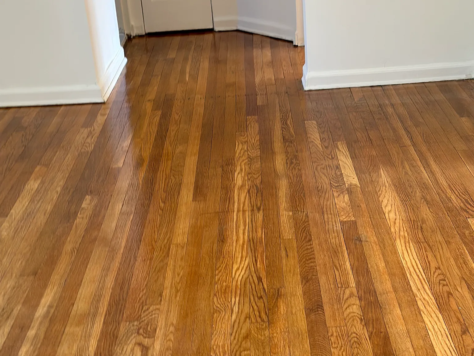 2 bed, 925 sqft, $2,300 — Photo 3