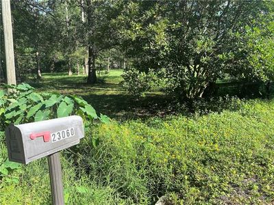 23060 Rollins St, Mandeville, LA, 70471